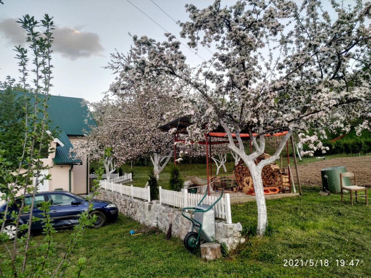 Apartments & Rooms Bojic Kolašin Екстериор снимка